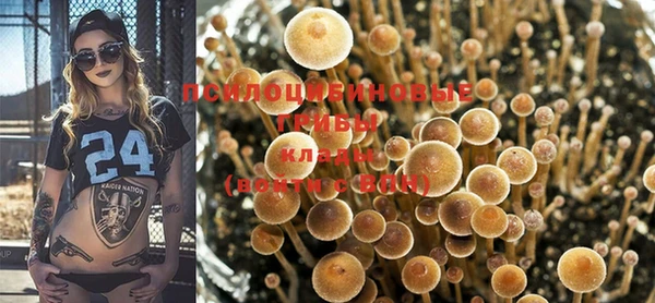 PSILOCYBIN Абинск