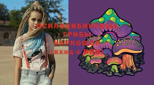 spice Абаза