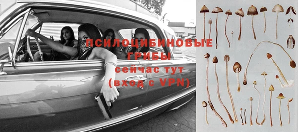 прущие крисы Абдулино