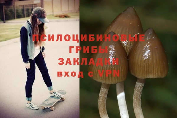 spice Абаза