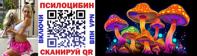 Псилоцибиновые грибы Psilocybine cubensis  Серафимович 